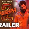 Allu Arjun Pushpa 2